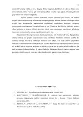 Vadovo ir  lyderio sąvokų determinavimas 12 puslapis