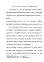 Vadovo ir  lyderio sąvokų determinavimas 4 puslapis