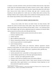 Vadovo ir  lyderio sąvokų determinavimas 7 puslapis