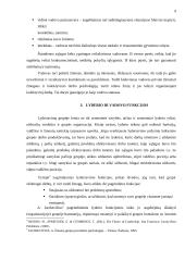 Vadovo ir  lyderio sąvokų determinavimas 9 puslapis