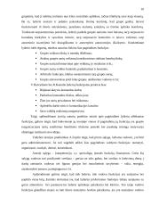 Vadovo ir  lyderio sąvokų determinavimas 10 puslapis