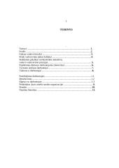 Vadovo ir darbuotojų santykiai organizacijoje 11 puslapis