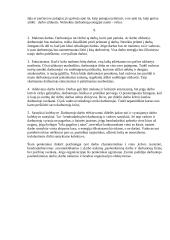 Vadovo ir darbuotojų santykiai organizacijoje 9 puslapis