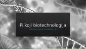 Pilkoji biotechnologija