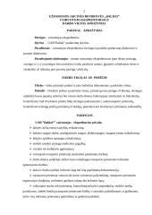 Vairuotojo-ekspeditoriaus darbo vietos aprašymas 2 puslapis
