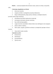 Vairuotojo-ekspeditoriaus darbo vietos aprašymas 6 puslapis