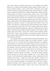 Psichologo ir psichoterapeuto įvaizdis šiuolaikinėje kultūroje 5 puslapis