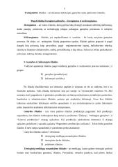 Valdymo apskaitos 4 uždaviniai 5 puslapis