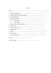 Valdymo situacija įmonėje: jaunimo vasaros stovykla IĮ "Atsipalaiduok" 2 puslapis