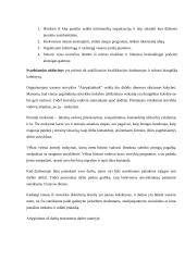 Valdymo situacija įmonėje: jaunimo vasaros stovykla IĮ "Atsipalaiduok" 11 puslapis