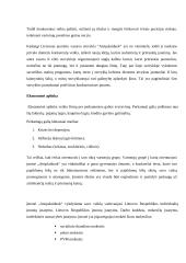 Valdymo situacija įmonėje: jaunimo vasaros stovykla IĮ "Atsipalaiduok" 13 puslapis