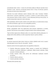 Valdymo situacija įmonėje: jaunimo vasaros stovykla IĮ "Atsipalaiduok" 19 puslapis