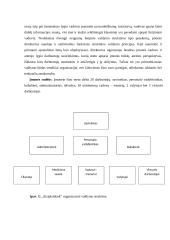 Valdymo situacija įmonėje: jaunimo vasaros stovykla IĮ "Atsipalaiduok" 7 puslapis