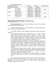 Valdymo sprendimai: "Winner’s Beer" 12 puslapis