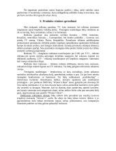 Valdymo sprendimai: "Winner’s Beer" 13 puslapis