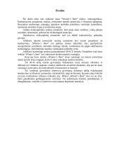 Valdymo sprendimai: "Winner’s Beer" 14 puslapis