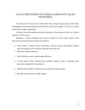 Valstybės vaidmuo šalies ekonomikoje 11 puslapis