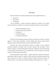 Valstybės vaidmuo šalies ekonomikoje 12 puslapis