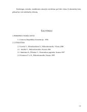 Valstybės vaidmuo šalies ekonomikoje 13 puslapis