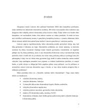 Valstybės vaidmuo šalies ekonomikoje 3 puslapis