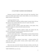 Valstybės vaidmuo šalies ekonomikoje 6 puslapis