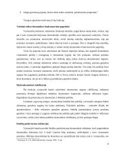 Valstybės vaidmuo šalies ekonomikoje 8 puslapis