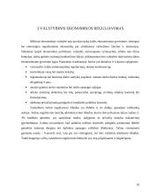 Valstybės vaidmuo šalies ekonomikoje 10 puslapis