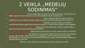 Kontekstų analizė leidinyje „Žaismė ir atradimai“  5 puslapis