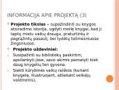 Mini projektas “Knyga – mano draugas” 4 puslapis