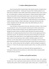 Vandens telkinių gylių ir srovės greičio matavimas 2 puslapis