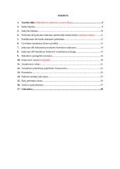 Akcinės bendrovės „Legalize“ veiklos dokumentai