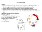 Žmogaus lytinis dauginimasis 11 puslapis
