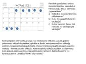 Žmogaus lytinis dauginimasis 14 puslapis