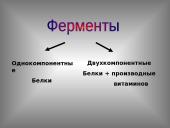 Классификация ферментов 5 puslapis