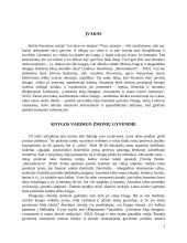 Literatūros poveikis visuomenei 3 puslapis