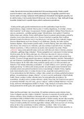 Meilės kuriančioji ir griaunančioji galia lietuvių literatūroje 2 puslapis