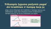 Trikampio lygumo požymiai 3 puslapis