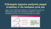 Trikampio lygumo požymiai 4 puslapis