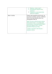 Maironis ,, Taip niekas taves nemylės" analizė 3 puslapis