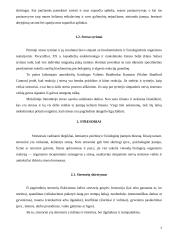 Stresas ir reakcijos į stresą 3 puslapis