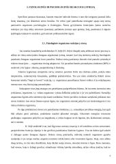 Stresas ir reakcijos į stresą 4 puslapis