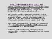 Erikinių kolekcija - rododendrynas  4 puslapis