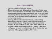 Erikinių kolekcija - rododendrynas  9 puslapis