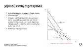 Fudenberg ir Tirole sistema, įėjimo į rinką atgrasymas 8 puslapis