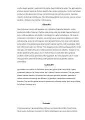 SSGG analizė ir strategijos 2 puslapis