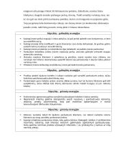 SSGG analizė ir strategijos 3 puslapis