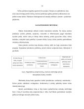 Prekės gyvavimo ciklas ir jo įtaka prekės kainos nustatymui 13 puslapis