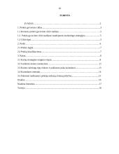 Prekės gyvavimo ciklas ir jo įtaka prekės kainos nustatymui 17 puslapis