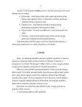 Prekės gyvavimo ciklas ir jo įtaka prekės kainos nustatymui 5 puslapis