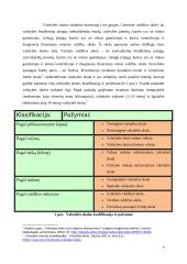 Duomenys, susiję su valstybės skola 6 puslapis